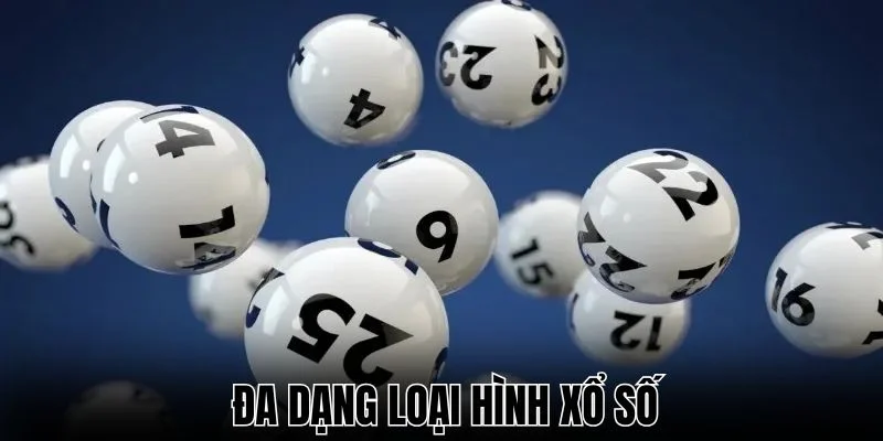 Đa dạng loại hình để chọn lựa