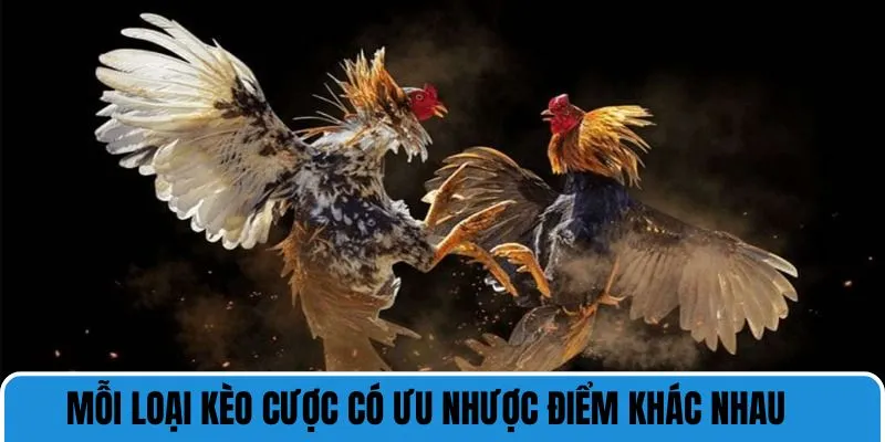 Thể loại đá gà phong phú với ưu nhược điểm riêng biệt