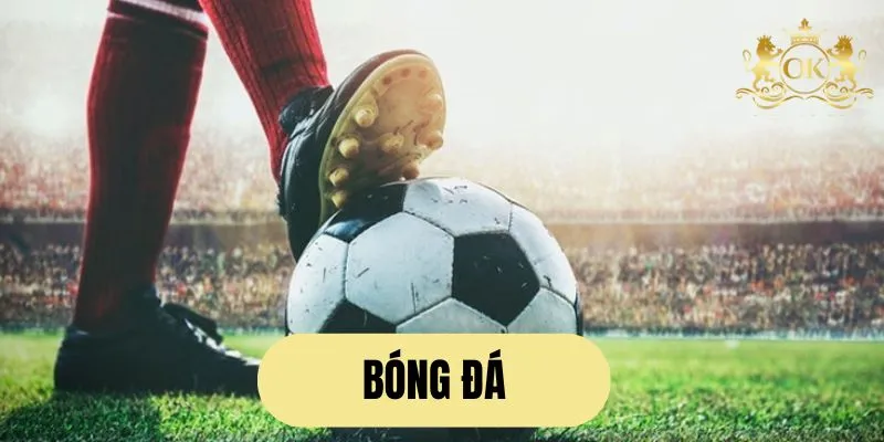 Siêu phẩm được giới mộ điệu lựa chọn mỗi ngày